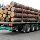 e9ffb1e6e944f4f15df5c282bae25b4d