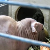 f26537752bf271b40a2982d8275ed10b