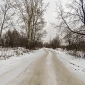 55215779e3ec047bf7bf2432a4025913