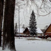 0fb5ae1e7be0cdc54eb397bc5f9e67d5