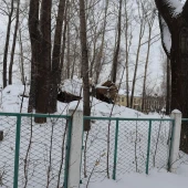 1b10b2e2eca43af7f3dc17a5ba26b6f6