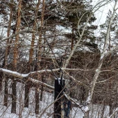 3440b39845c21d13869ed1fa8bc8a3d5