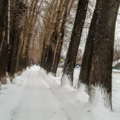 487a2e529564b8c87ecdb962dbbb0aac