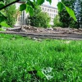 b9adc9c09bd498ea84ffad018193d4ae