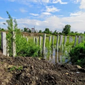 f593fbeaa053a892895731a113902582