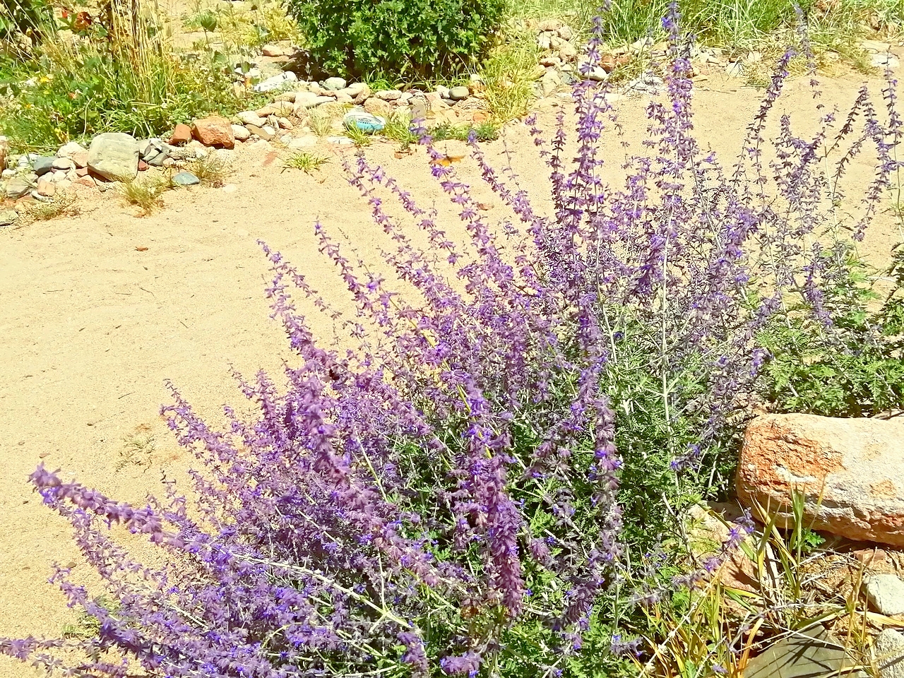 Пейзажи близ посёлка Каджи-Сай 