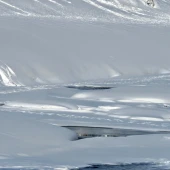 1668b7254c8aae02abc21ccc02d743cd