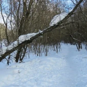 613ac339ea7536ca0f114108f6e5ae23