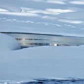 c3d56a852d679f349b4eabf844c7322c