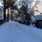 278533a16c3b3d819a14a51740ab46f3