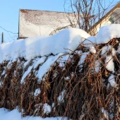 46c7463d664f13609031c4d2c1e608f2