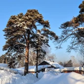 98ca2d5798c476285fd4e973ef1dfb4f