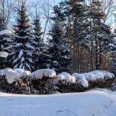 b1bbf465ed5ebd6a0483e515893557df