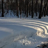 b9f77ef07c7412e8be9b10abee5b2753