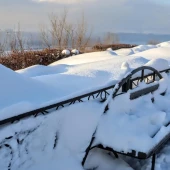 db3316e0c15d04966d1c5120ac273393