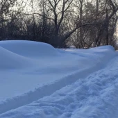 e51a58d582460d455644f4a6263a6aef