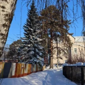 ed55f83beed0a8f7ae0396d9323a15e6