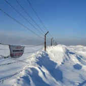 b90dac8fa751a0996c5cbc7816ad20e4