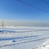 bf6f3cdff41717ba16b3d74674845274