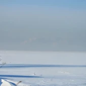 caecb1a970aa57c3272ee9c514131a22