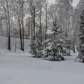 306953b70ecc516b99462f8d77edffc5