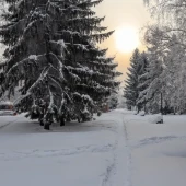 4647b027fd9c948a918386ed41f1182d