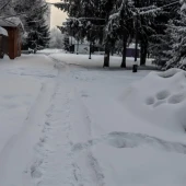 816516a9eab496d10222303c1e8165e0