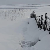 c0b74cca56644f8b13f7c22535ef2fd0