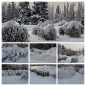 cf84b3ced0fe0beaf3a428cb5f60196c