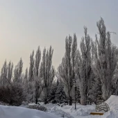 d84af3e91ea01a9f05c2c6eb9028302c