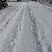 e484050a593e0fa885a3c2d10a5a5449