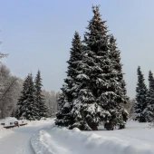 fd4ababb8290c319831b9027b1b7209e