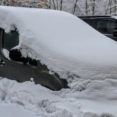 3be81bcf8b6480382bf570b5edf1fa38