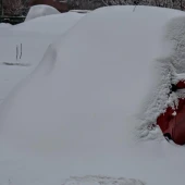 773456b31187385142d10e47842847d6