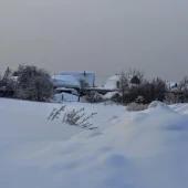 6b5a5a883072eb1f8117bf3b090355bd