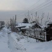 9bbf358137003320d0c560c50aa21e72