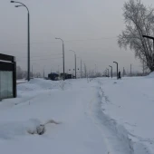 d2dfe88969bbc85972ab313066356784