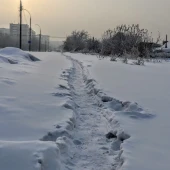 ee49e333069c5c64d8ba9d0c7bfac318