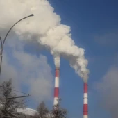 0157f8cd8b09d72a47266b77f63ceb31