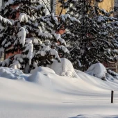 6d9aa41fc3e9544fae930aedad3af6c7