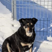 7c906a4a87f28b20df4467ecd6d6d643