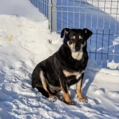 85f5a168161907c0e78577b7b4897a78