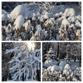 8cebc1f04b0d28fb4b5e222a18925c4b