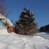 d58d25bd7439c1d34668abb4c335bf45