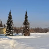 12df8b6beb10b6254b1c7048ea47a655