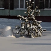 2702a40072a24c9aa21da5361e131647