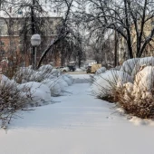 3f48d523c2e00f30e3930dee9a1b26e7