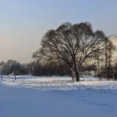 5787f9b4dc94e233245341d32188df9f