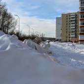 1929fe8118ed295bd8d5b92786f51a29