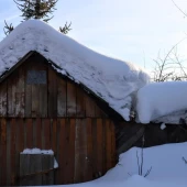 2cf8b478532a402b24ecb81dcbb30699